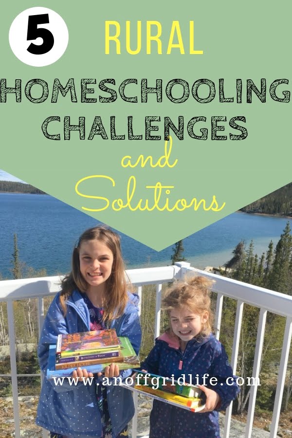 Common Homeschooling Challenges and Effective Solutions Challenges of Homeschooling and Effective Solutions